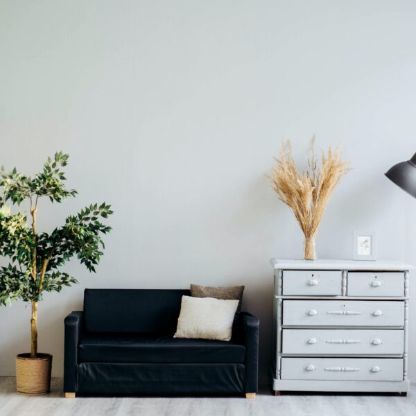 other services available at Emma's Properties including valuations, conveyancing and maintenance